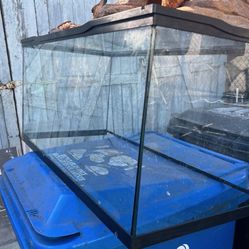 40gallon Tank