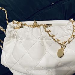 Elegant Chanel Purse 