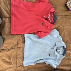Toddler Lacoste Polos
