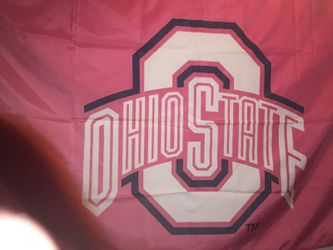 The Ohio State flag