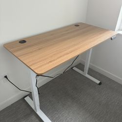 Standing Desk - Original Price $300 (tax Included)