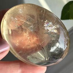Natural Smoky Quartz Palm 
