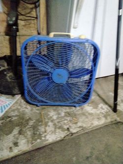 Fan