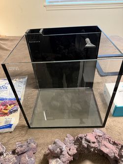 Fish Tank 15 gallon reef setup