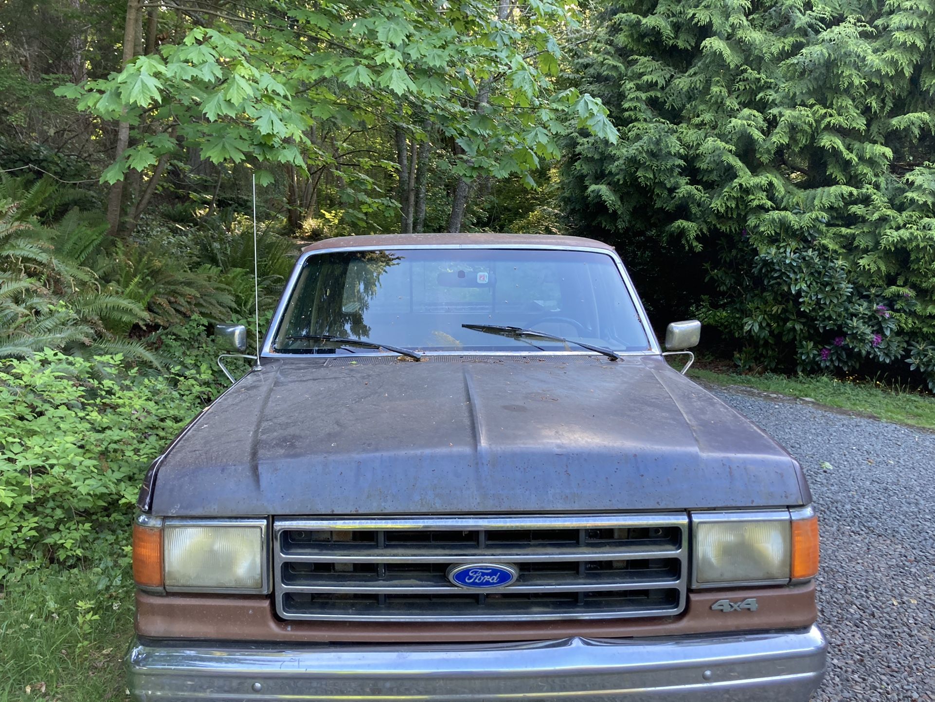 Photo 1987 Ford F150