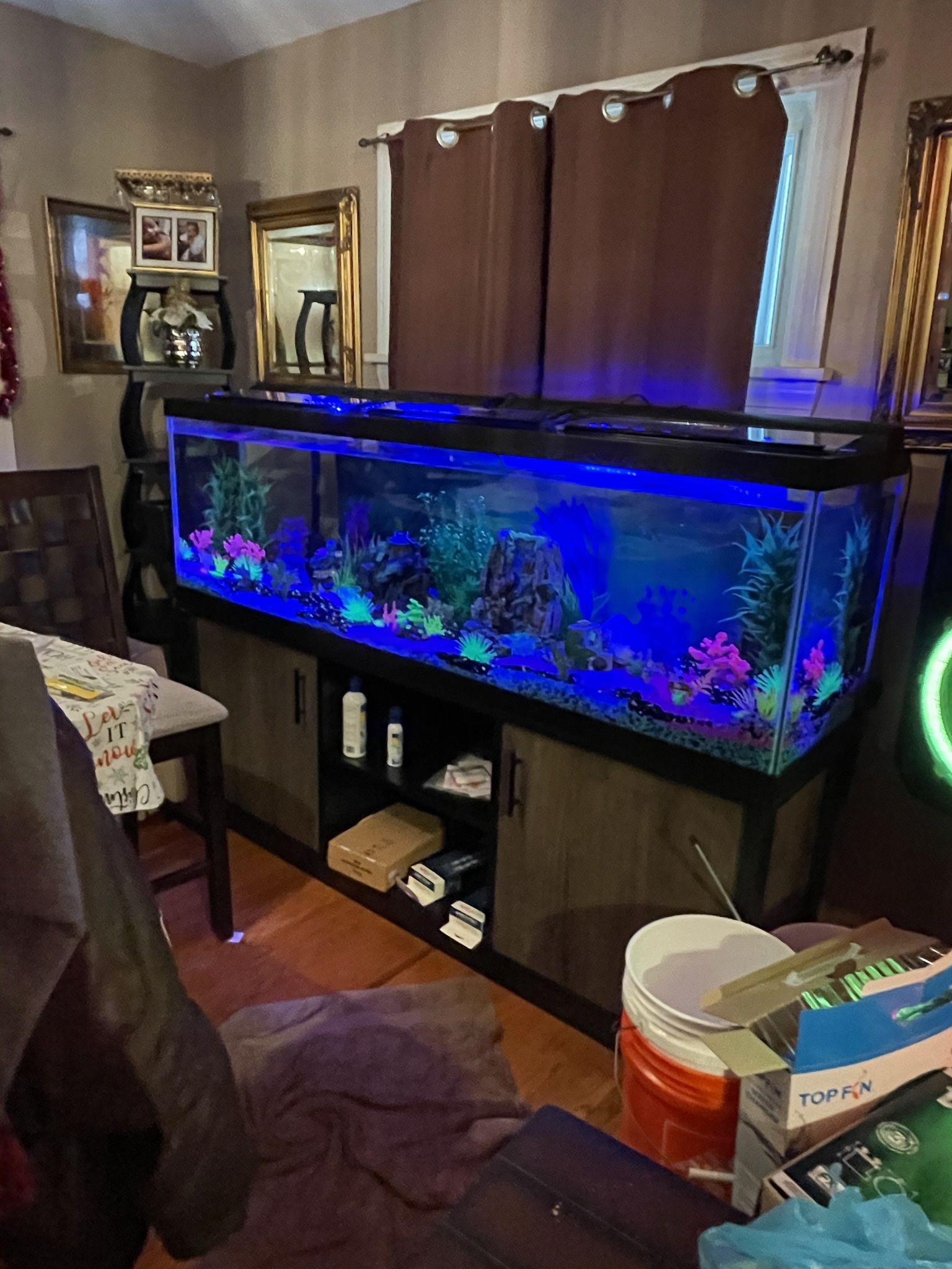 Fish Tank