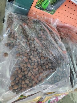 Clay Pebbles 10lb