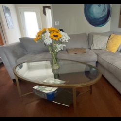 Perfect Modern Oval Glass Coffee Table - Gold Frame