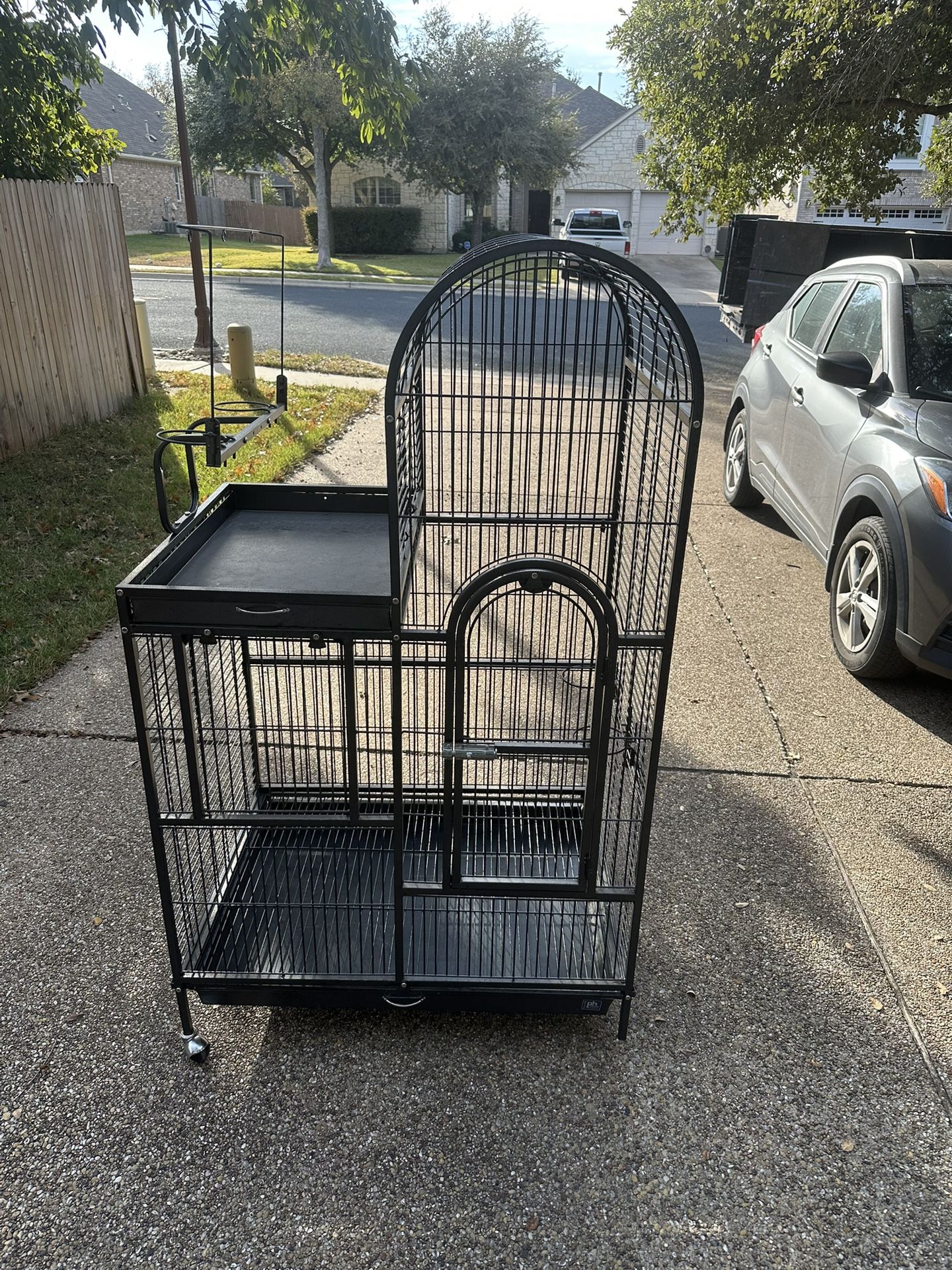 Bird Cage