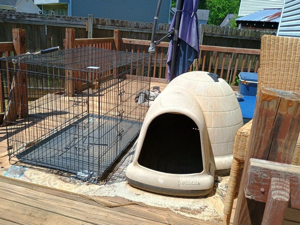 Dog House and Cage