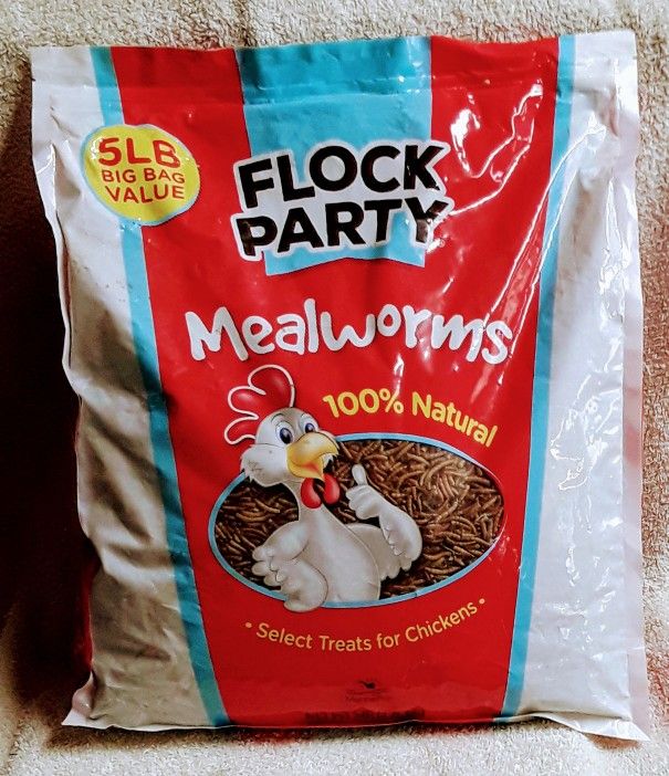 Flock Party Mealworms For Chickens