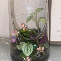 Open Terrarium With Real Moss 