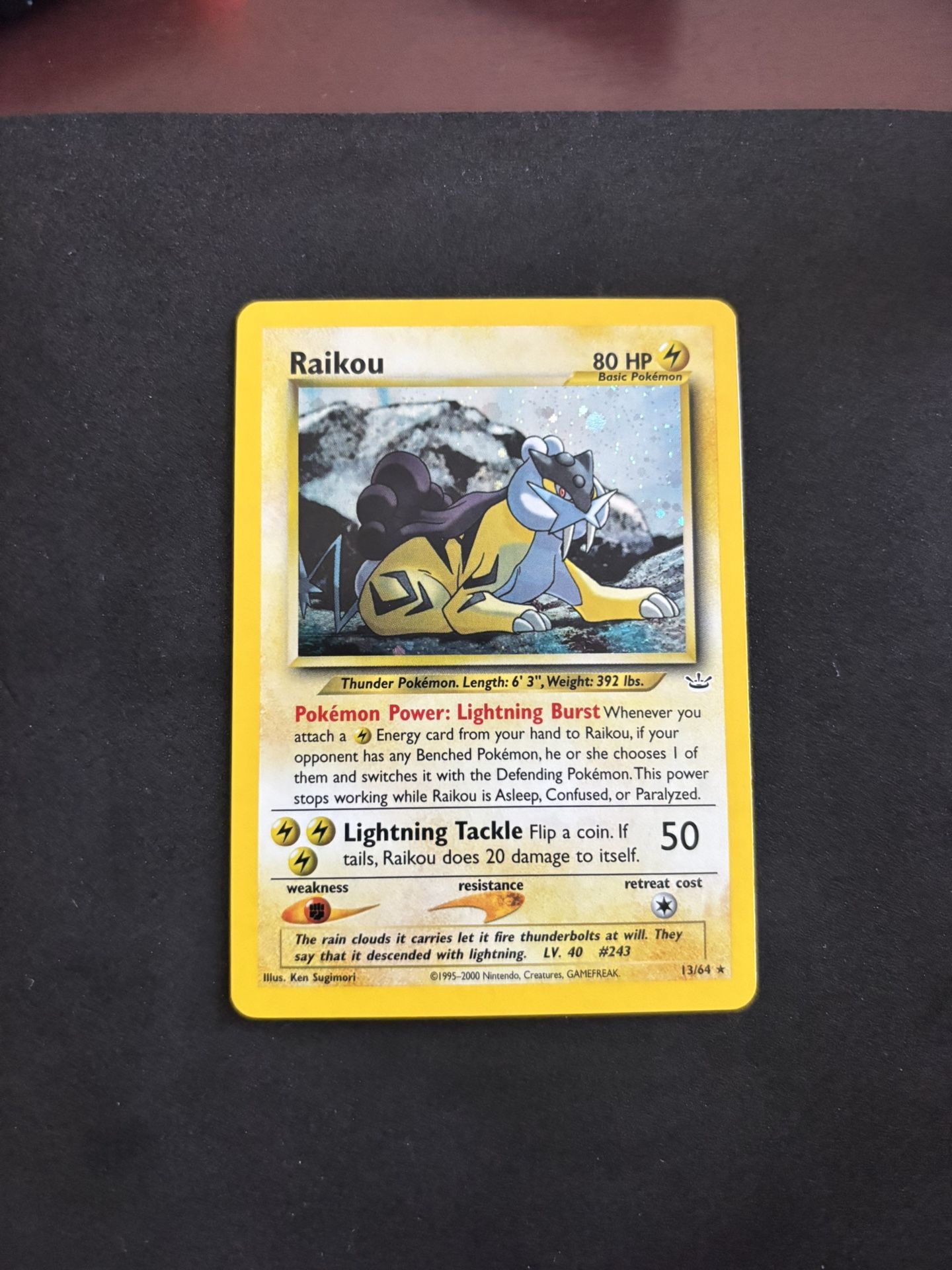 Pokemon Raikou NM