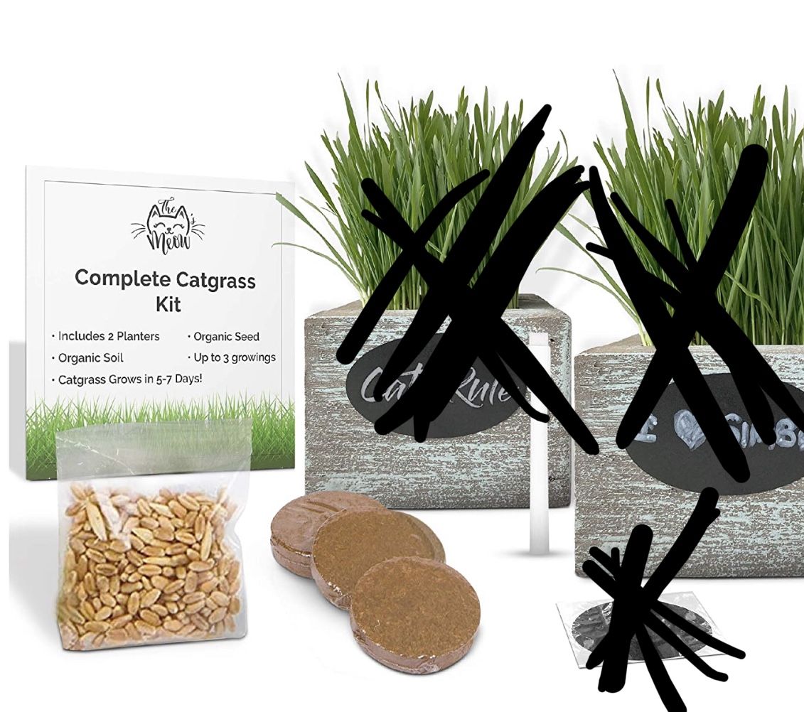 Organic Cat Grass Seeds Kit