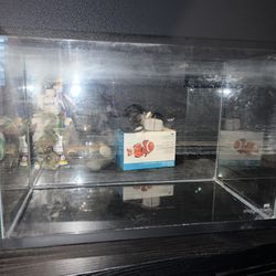 5 Gallon Betta Fish Tank