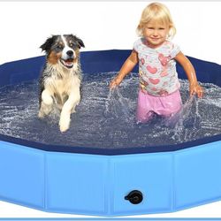 Dog Pool 