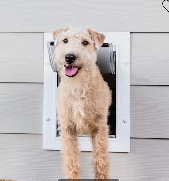 PetSafe MEDIUM Plastic Pet Door for Wood, PVC Metal & Paneled Doors UP TO 40lbs