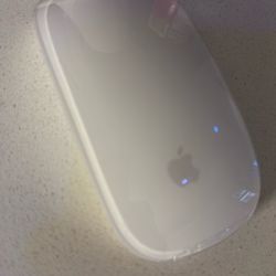 Magic Mouse (USBC)