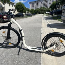 Kickbike Kick Scooter Dog Walk Scooter