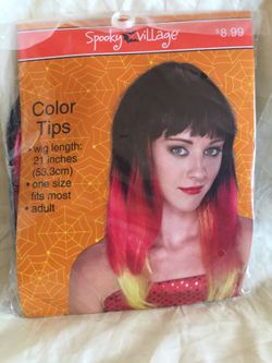 Color Tips Wig