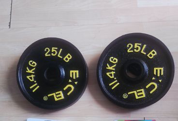 (2) 25 Lbs Olympic Metal Plates