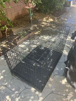 Large Dog Kennel $40 obo