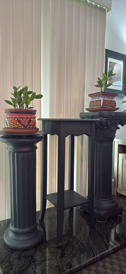 Deep Forest Plant Stand