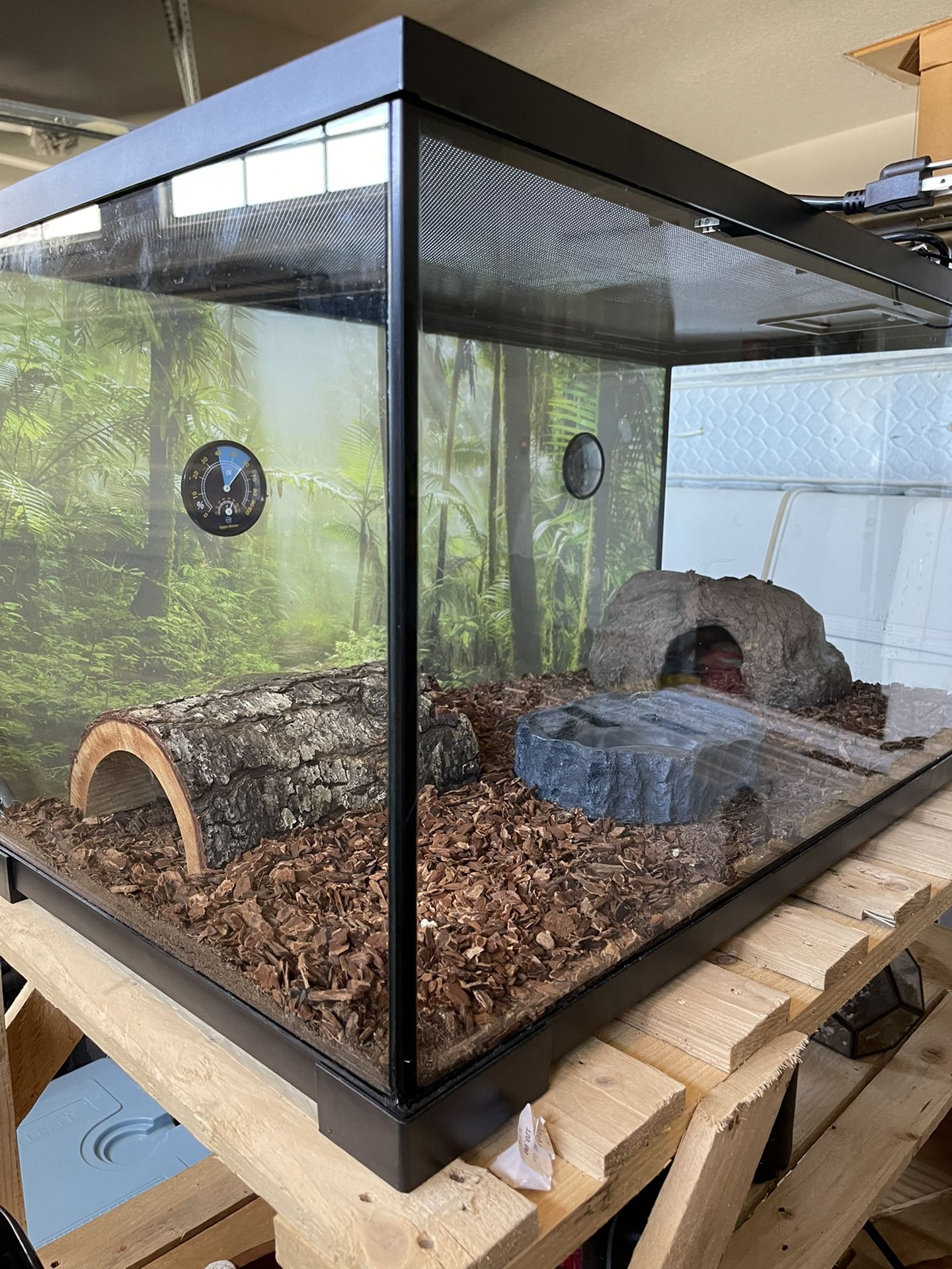 Ball Python Enclosure