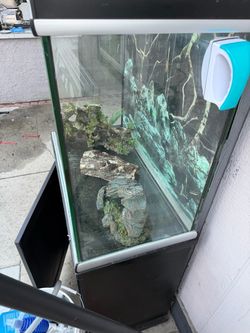Fish tank