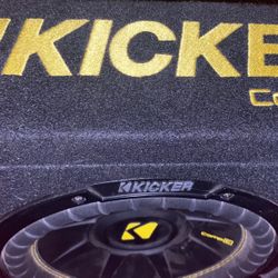 10 Inch Kicker