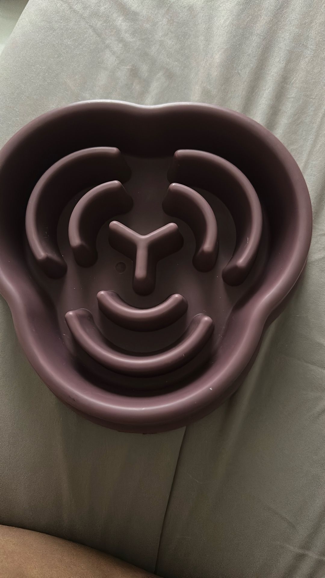 Dog Bowl