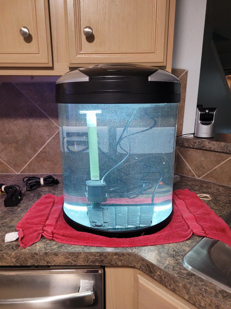 10 gallon bowfront fish tank