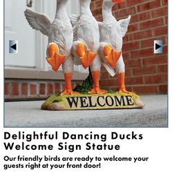 Duck Garden Decor