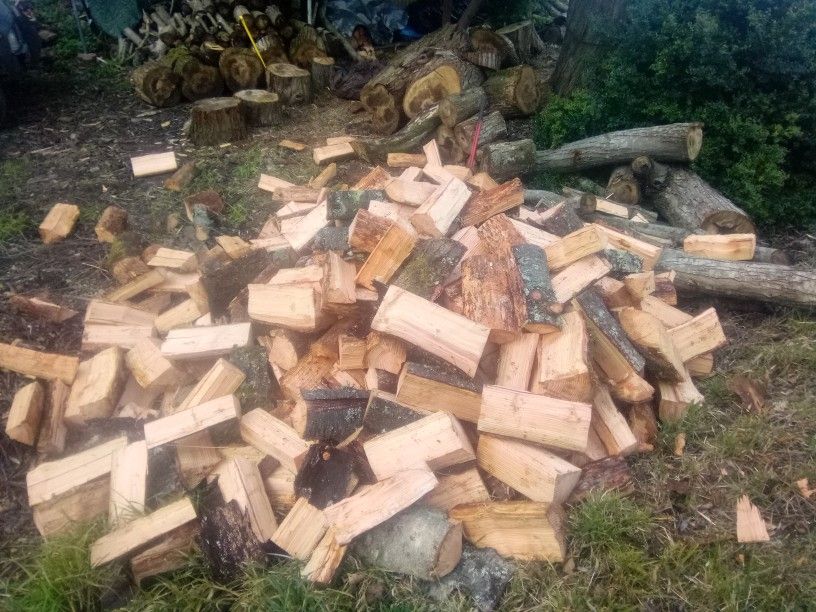 Dry Firewood!!