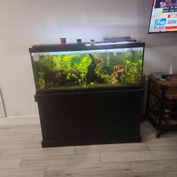 Seventy Five(75) Gallon Fish Tank With Everything In It And  Lots Of Storage Below OBO