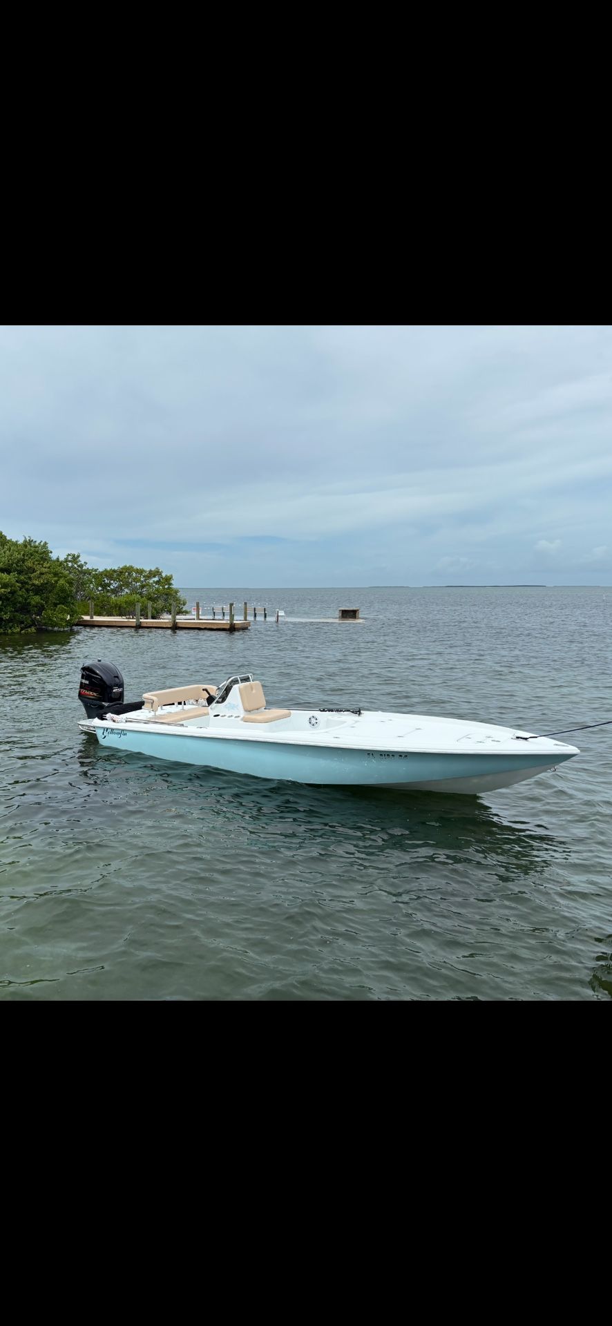 2017 21 Yellowfin Hybrid Flats/Bay Boat 315 Hours