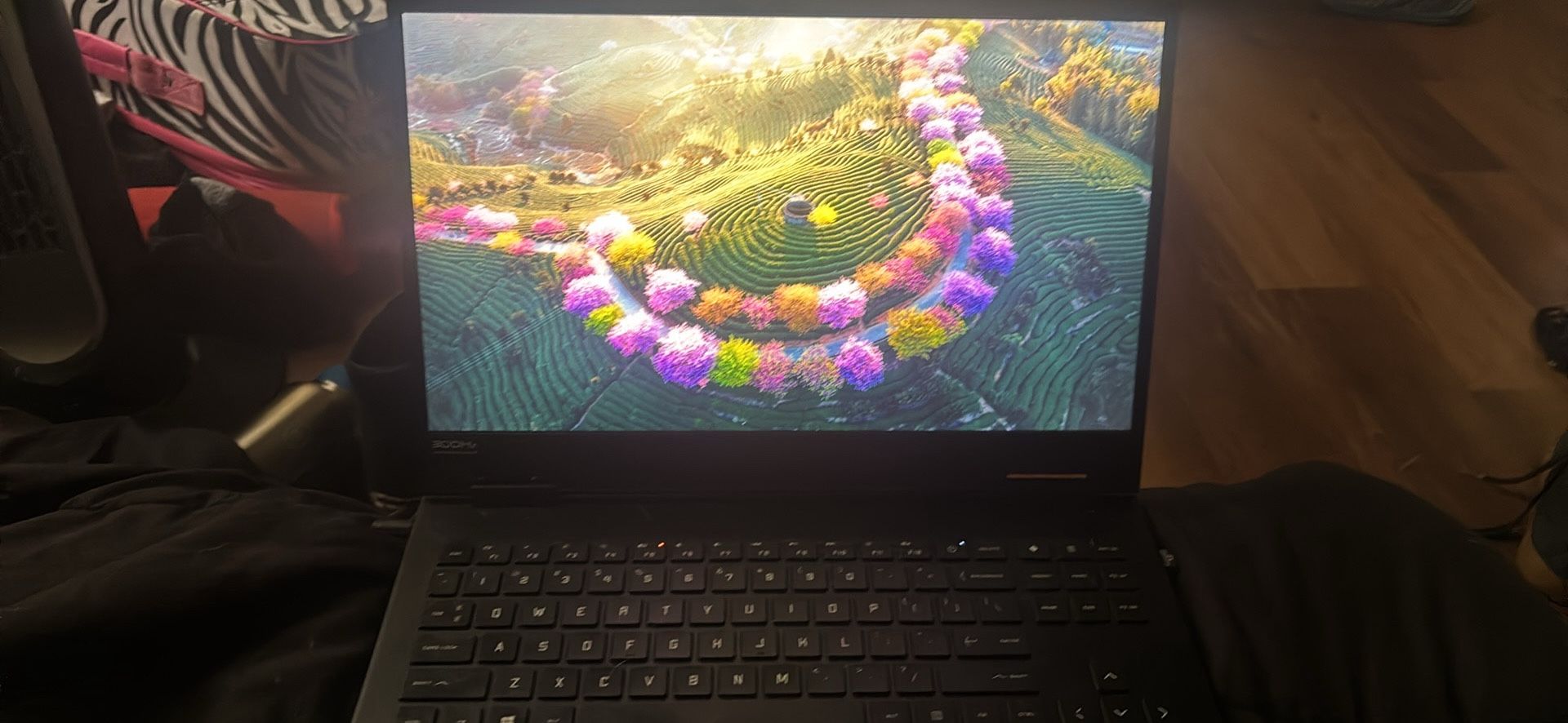 HP Omen015 300Hz 2060Ti laptop