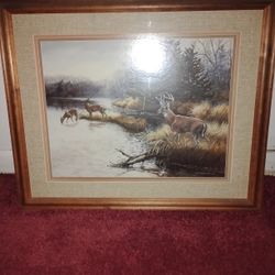 Deer At The Lake Portrait