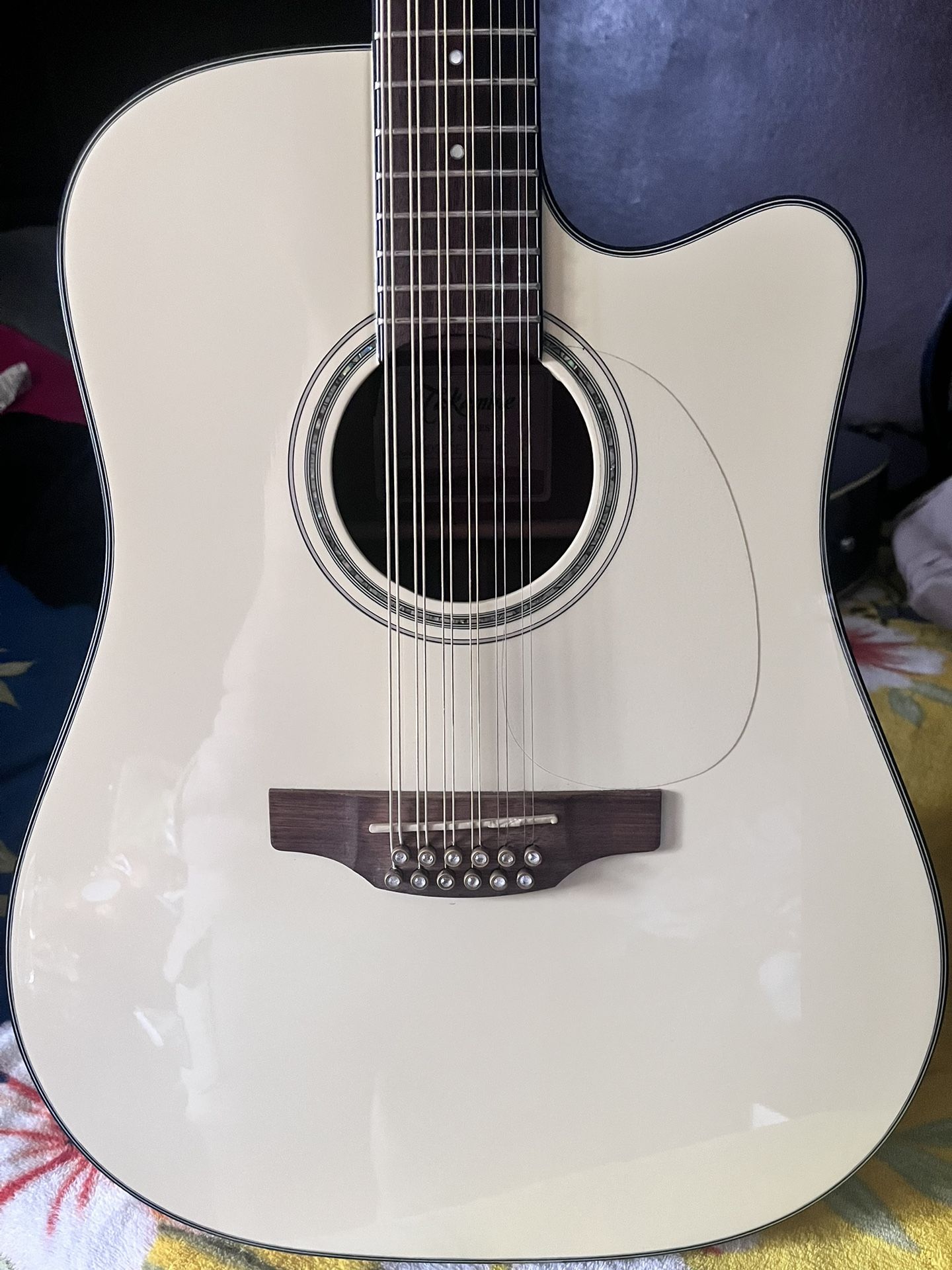 Takamine 12 String Guitar