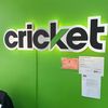 Cricket Flushing
