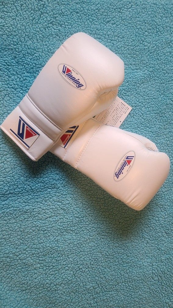 Japan Winning Boxing Gloves