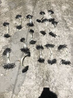 Pre made fishing leaders