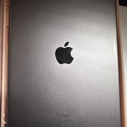 iPad 7