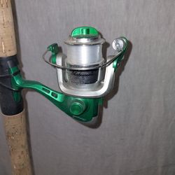 Shakespeare Reel And Pole