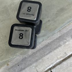 8lb Dumbbells 