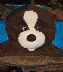 Kids sleeping bag