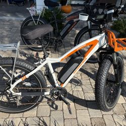 Electric Fat Tire  Bike (2)