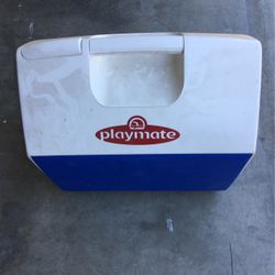 Lunch cooler For 24 Cans