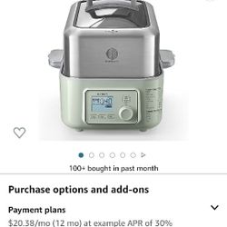 Electric Food Steamer