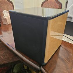 Rocket Model UFW-10 powered subwoofer